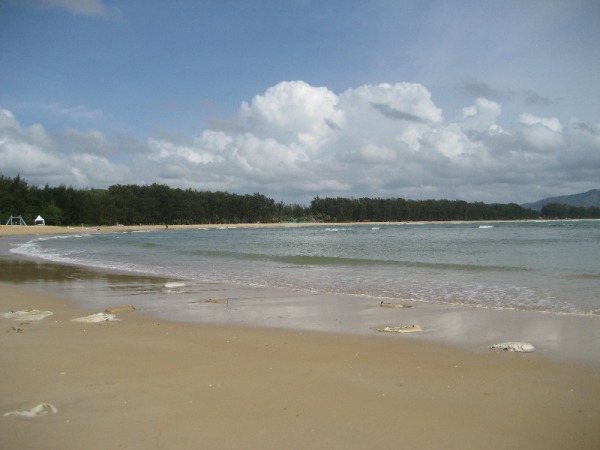 пляж Найтон
