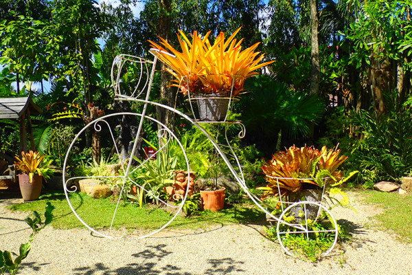 ботанический сад на Пхукете phuket botanic garden