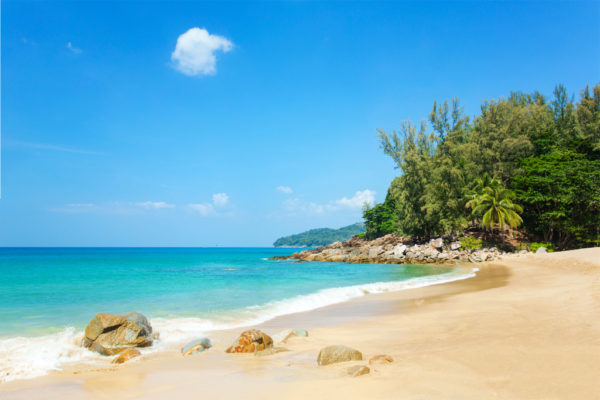 A beautiful tropical beach with palm trees at Phuket island, Thailand
